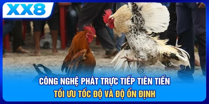 Công nghệ phát trực tiếp tiên tiến tối ưu tốc độ và độ ổn định