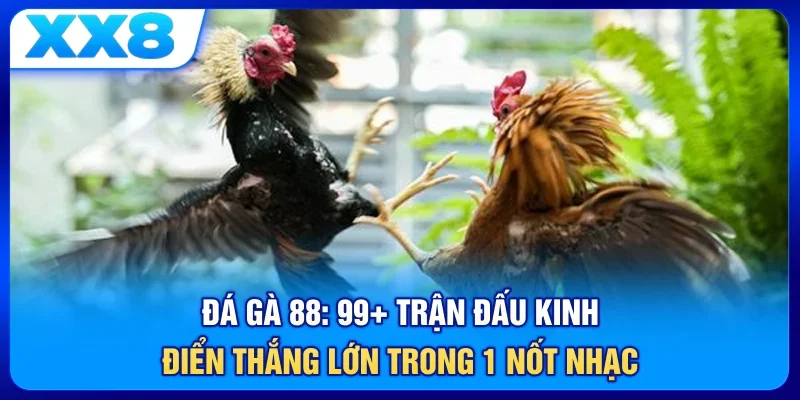 Đá Gà 88: 99+ Trận Đấu Kinh Điển, Thắng Lớn Trong 1 Nốt Nhạc