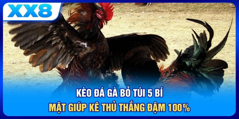 Kèo Đá Gà Bỏ Túi 5 Bí Mật Giúp Kê Thủ Thắng Đậm 100%