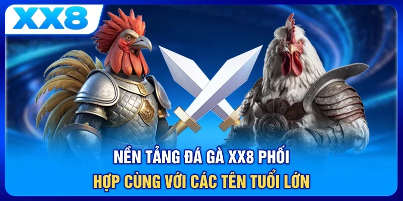 Nền tảng đá gà XX8 phối hợp cùng với các tên tuổi lớn