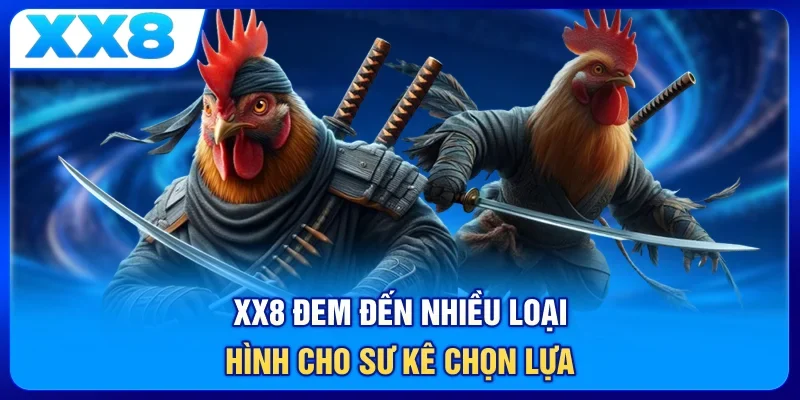 XX8 đem đến nhiều loại hình cho sư kê chọn lựa
